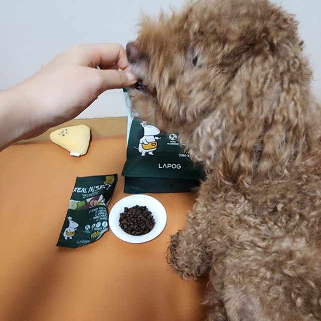 [푸디웜] 라포그  리얼인섹트 웨이트밸런스 저알러지 강아지 사료  1.2KG 리뷰 사진