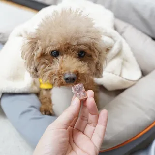 랭쑤님이 올린 리뷰 사진 2