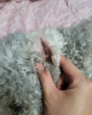 lemoniee님이 올린 리뷰 사진 3