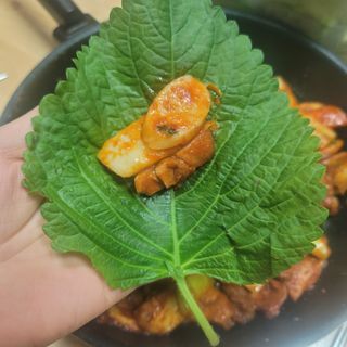 영님이 올린 리뷰 사진 3