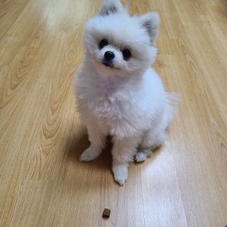 쏘쏘맘님이 올린 리뷰 사진 3
