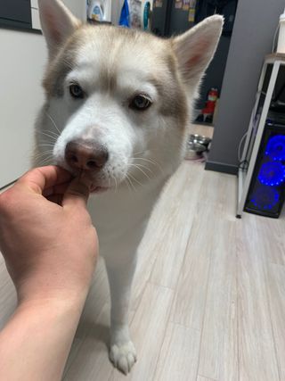 제육이님이 올린 리뷰 사진 3
