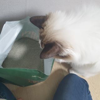 ssun0514님이 올린 리뷰 사진 1