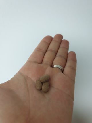슬림플래닛 녹차카테킨 500mg 애프터밀 — 5점을 준 리뷰어가 2021년 10월 올린 사용 사진
