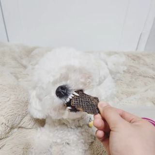리애나님이 올린 리뷰 사진 3