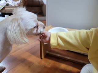 함냥님이 올린 리뷰 사진 2