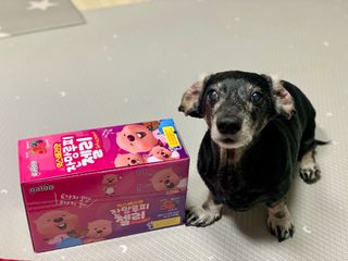 [팔도] 잔망루피젤리 믹스베리맛 42g 8개 — 4점을 준 리뷰어가 2022년 1월 올린 사용 사진