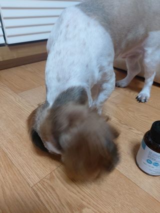 He님이 올린 리뷰 사진 4