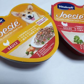 비타크래프트 조에시 하트캔 85g 강아지 습식캔 10캔 — 5점을 준 리뷰어가 2021년 9월 올린 사용 사진