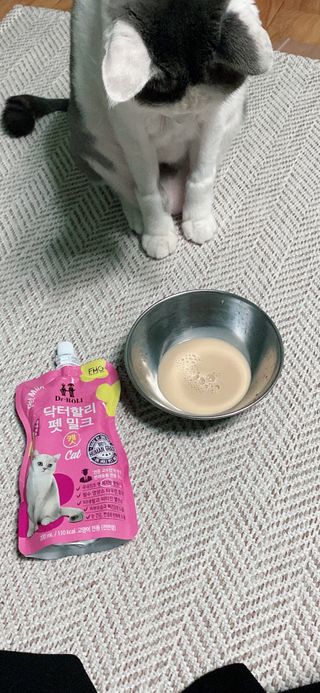 yyyy님이 올린 리뷰 사진 4