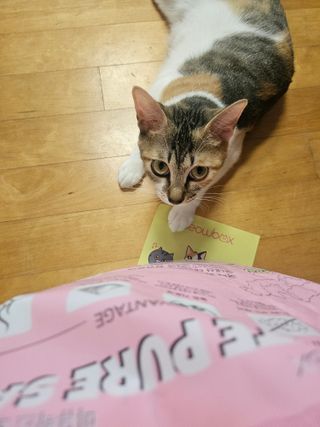 cherishlim님이 올린 리뷰 사진 4