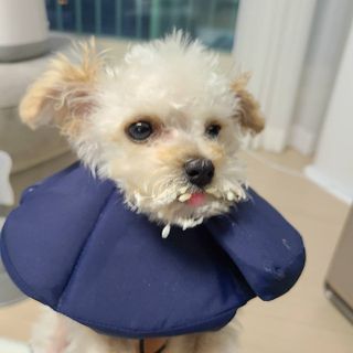 bbingbbing_e님이 올린 리뷰 사진 1