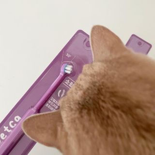 루하님이 올린 리뷰 사진 3