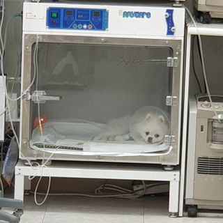 황선아님이 올린 리뷰 사진 3