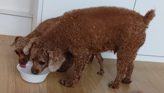 무기명님이 올린 리뷰 사진 3