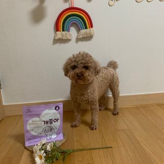 우주님이 올린 리뷰 사진 3