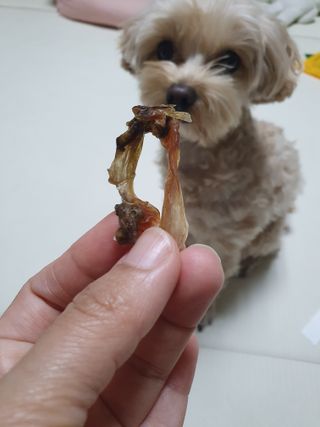 아코맘님이 올린 리뷰 사진 3