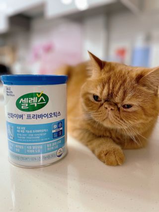 셀렉스 썬화이버 프리바이오틱스 — 5점을 준 리뷰어가 2021년 12월 올린 사용 사진