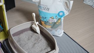 도르방구님이 올린 리뷰 사진 3