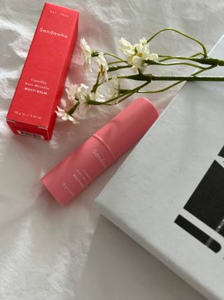 스킨큐어 산다화 카멜리아 안티 링클 멀티밤 — 4.5점을 준 리뷰어가 2023년 10월 올린 사용 사진