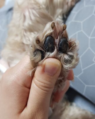 뤠빗님이 올린 리뷰 사진 2