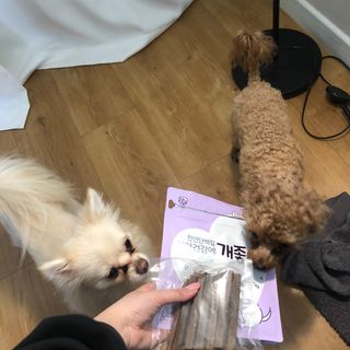 My Pet Care 천연단백질 치아건강에 개좋아 — 5점을 준 리뷰어가 2021년 1월 올린 사용 사진