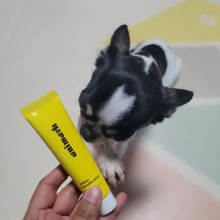 썽이mom앙꼬님이 올린 리뷰 사진 1