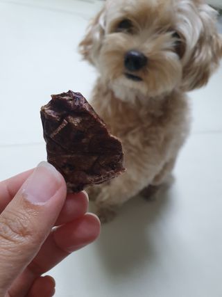 아코맘님이 올린 리뷰 사진 2