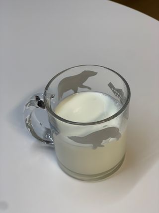 오트릿 티시럽 쌀귀리 & 루이보스 (300ml) — 5점을 준 리뷰어가 2022년 7월 올린 사용 사진