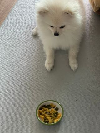 핸감자님이 올린 리뷰 사진 3