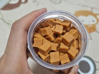 페페로니 진짜 오메가3 연어+소고기 180g+180g — 5점을 준 리뷰어가 2021년 7월 올린 사용 사진