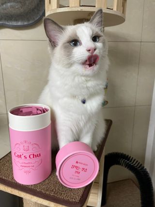 ccoyo님이 올린 리뷰 사진 4