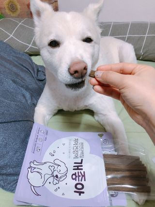 My Pet Care 천연단백질 치아건강에 개좋아 — 5점을 준 리뷰어가 2021년 2월 올린 사용 사진