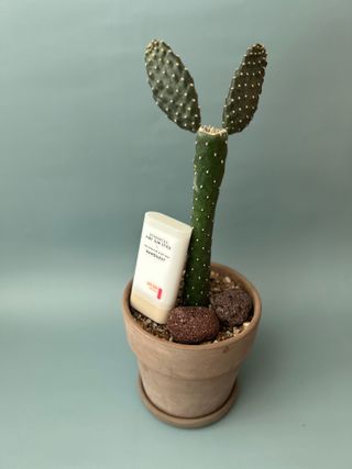 워나님님이 올린 리뷰 사진 4