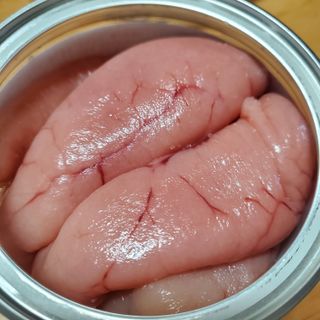 계절어부 72 백명란 — 2점을 준 리뷰어가 2021년 6월 올린 사용 사진