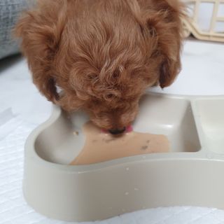 두공주맘님이 올린 리뷰 사진 3