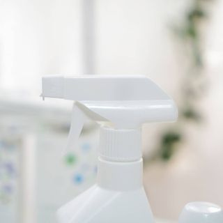 꽃양뿌니님이 올린 리뷰 사진 4