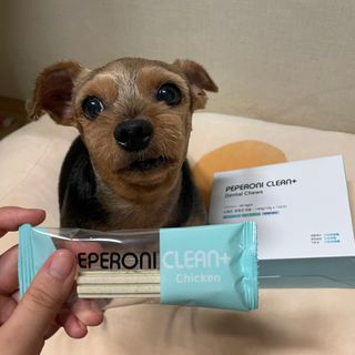 페페로니 클린플러스 덴탈치킨껌 10g x 14p — 5점을 준 리뷰어가 2021년 7월 올린 사용 사진