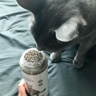 미우미우님이 올린 리뷰 사진 2