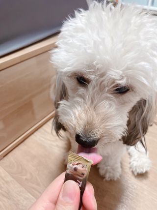 연쨩님이 올린 리뷰 사진 3