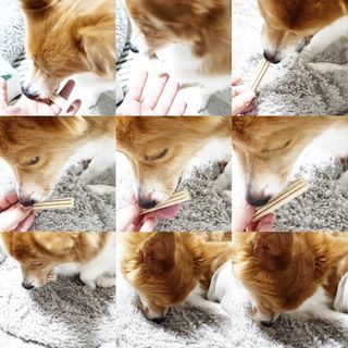 림림님이 올린 리뷰 사진 3