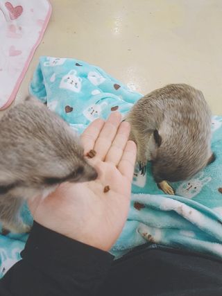 아그네스님이 올린 리뷰 사진 2