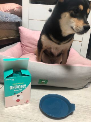 펫시랩 반려견용 액상 프리바이오틱스 아쿠아펫 — 5점을 준 리뷰어가 2021년 1월 올린 사용 사진