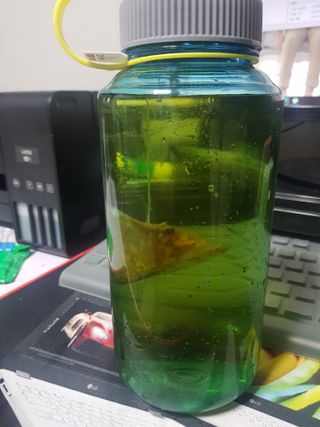 뚠뚜딴따님이 올린 리뷰 사진 3