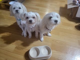 공팔리터님이 올린 리뷰 사진 2