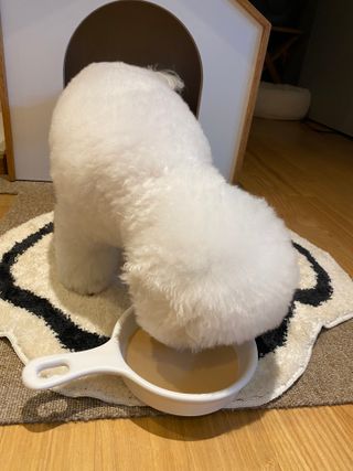 순애님이 올린 리뷰 사진 4