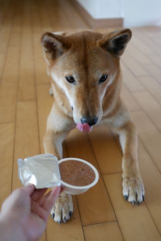 루비님이 올린 리뷰 사진 1