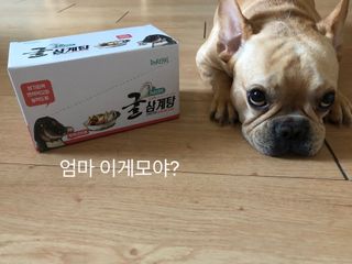 보노엄마님이 올린 리뷰 사진 1