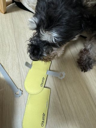 만찐두빵이님이 올린 리뷰 사진 2