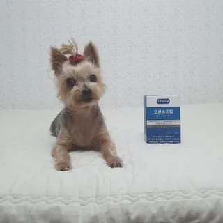 뉴트리션팩토리 비타프렙 오큐슈프림 루테인 오메가3 1050mg — 5점을 준 리뷰어가 2021년 9월 올린 사용 사진